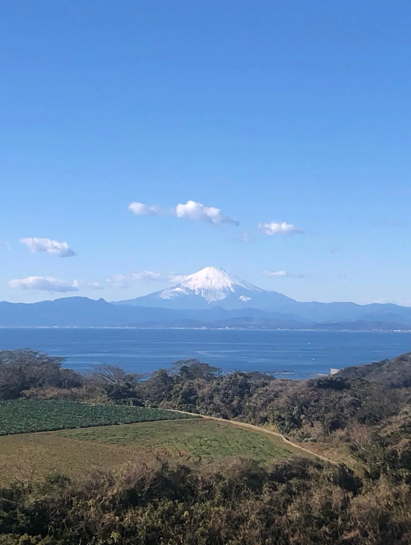 おはようございま〜す　