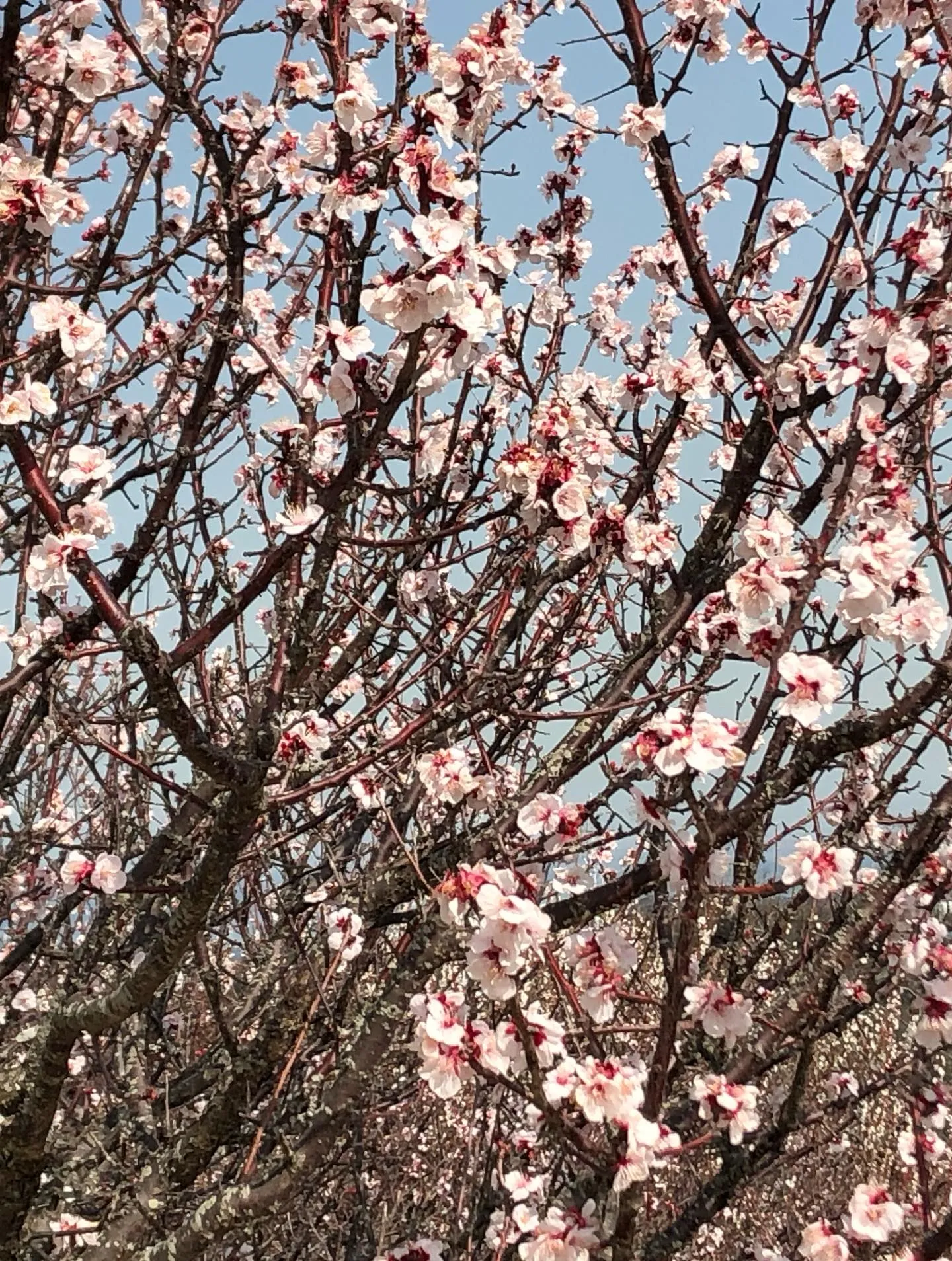 みなさまこんにちは😊