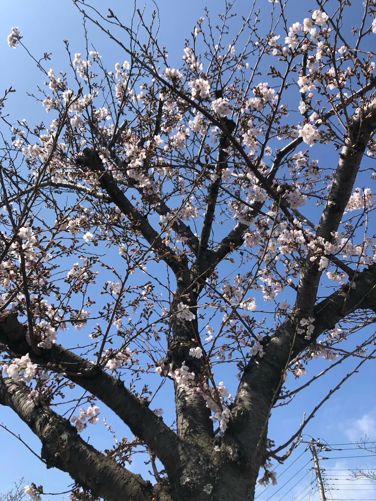 「まだ大丈夫」と我慢せずに🙂